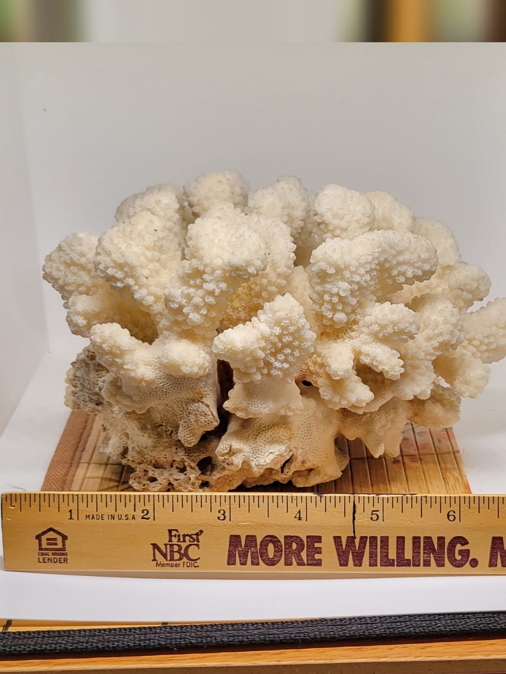 Vintage Natural White Ocean Coral Specimen Large - Picture 5 of 9